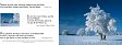 Birnbacher Weihnachtskarten: Winter II