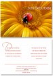 Geburtstagskarte "Sonnenblume"