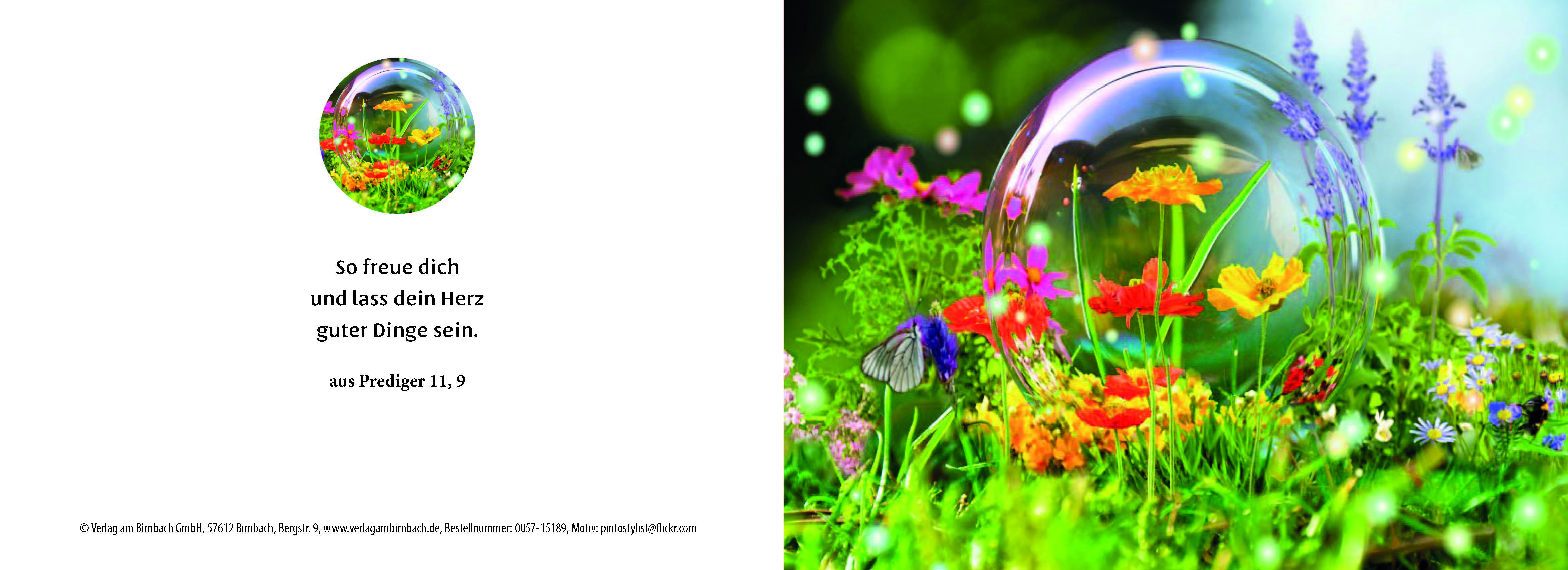 Birnbachkarte - Sommerblühen