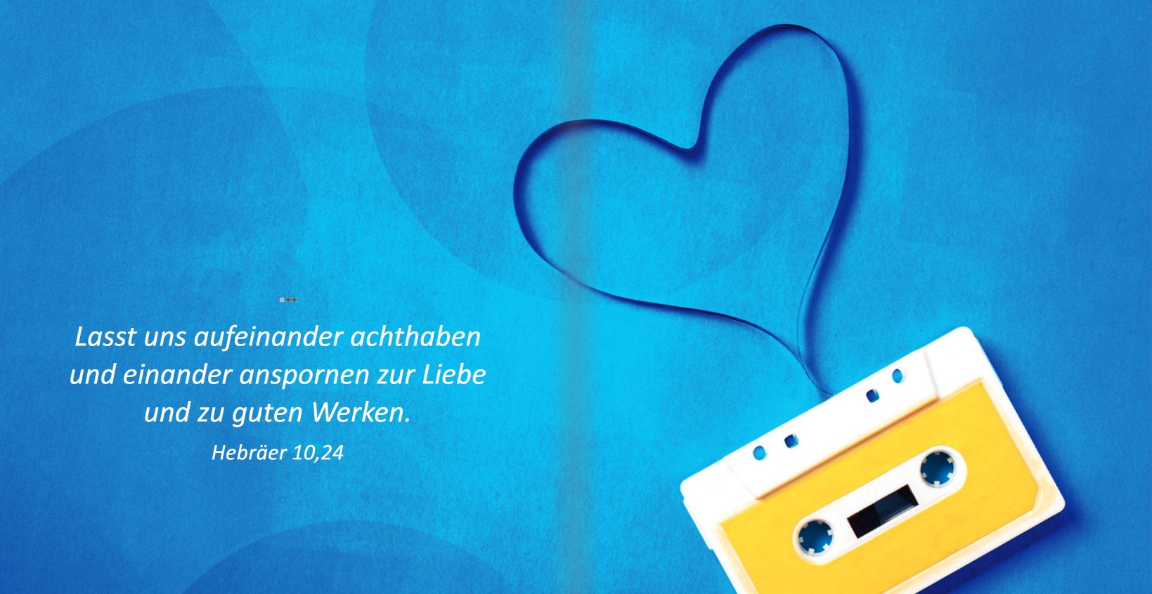 Wunderbarer Begleiter
