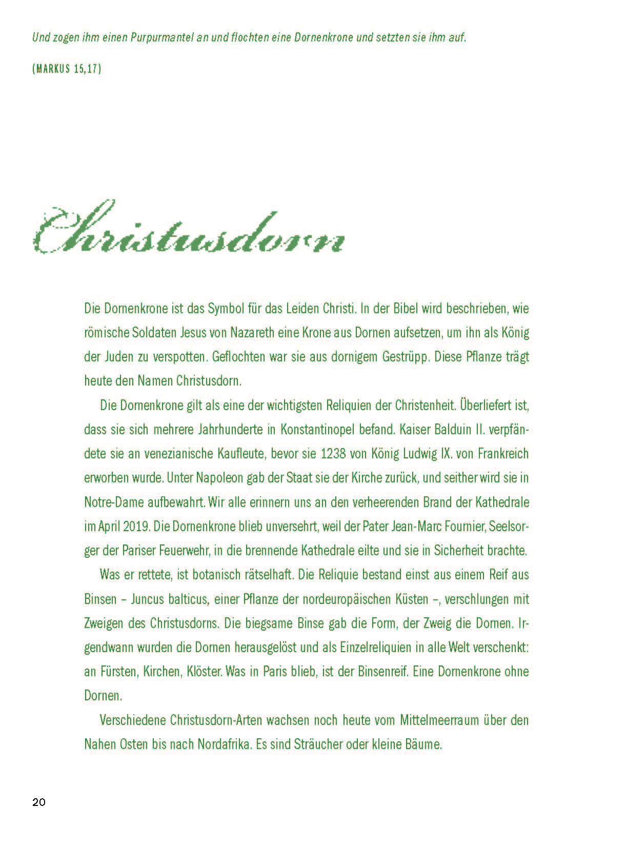 Der Garten der Bibel
