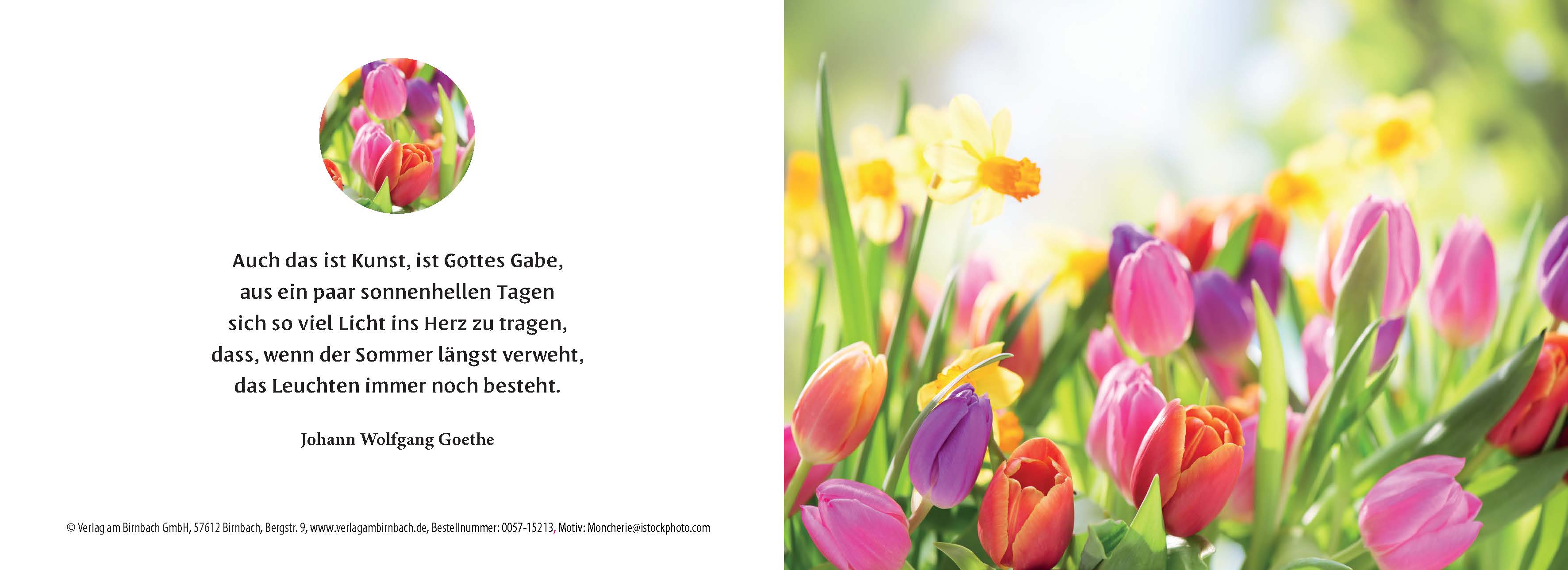 Birnbachkarte - Tulpen