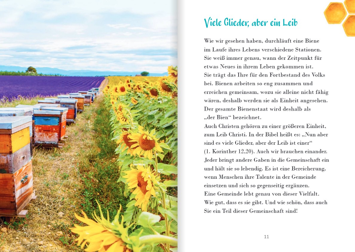 Und diese Biene, die ich meine....