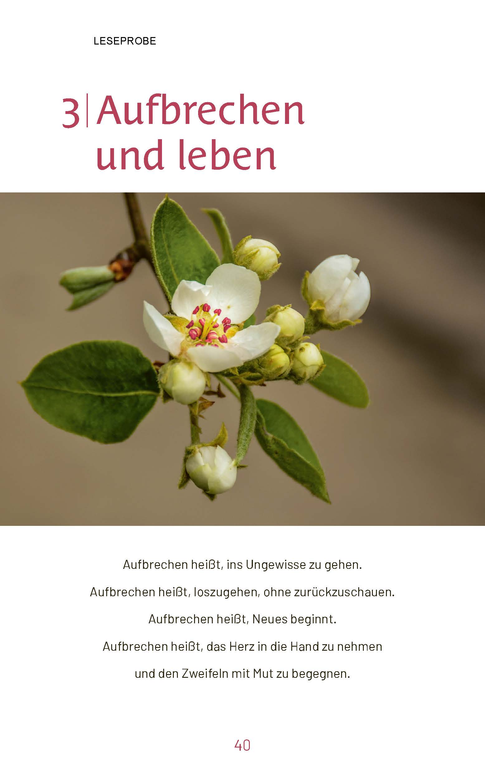 Wenn das Leben Blüten treibt