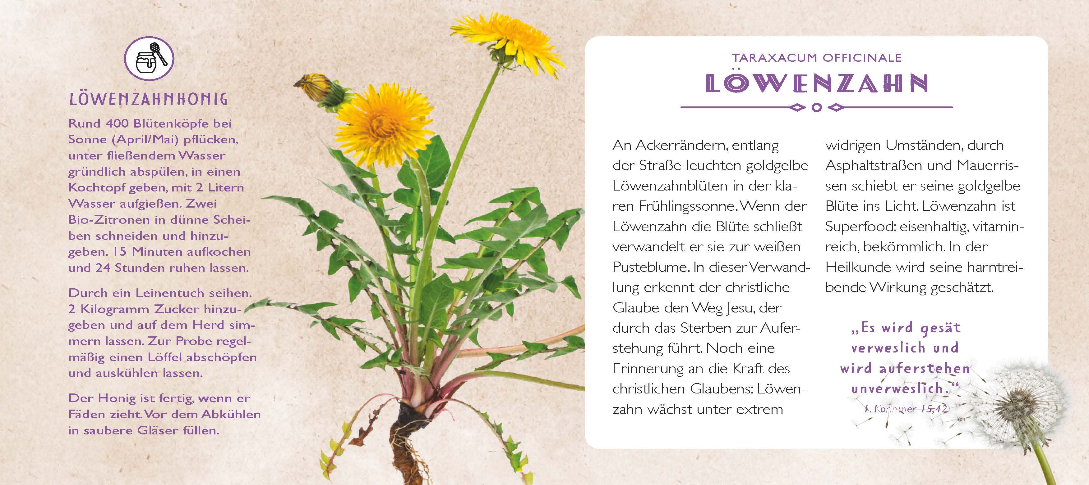 Die Apotheke Gottes - gebunden