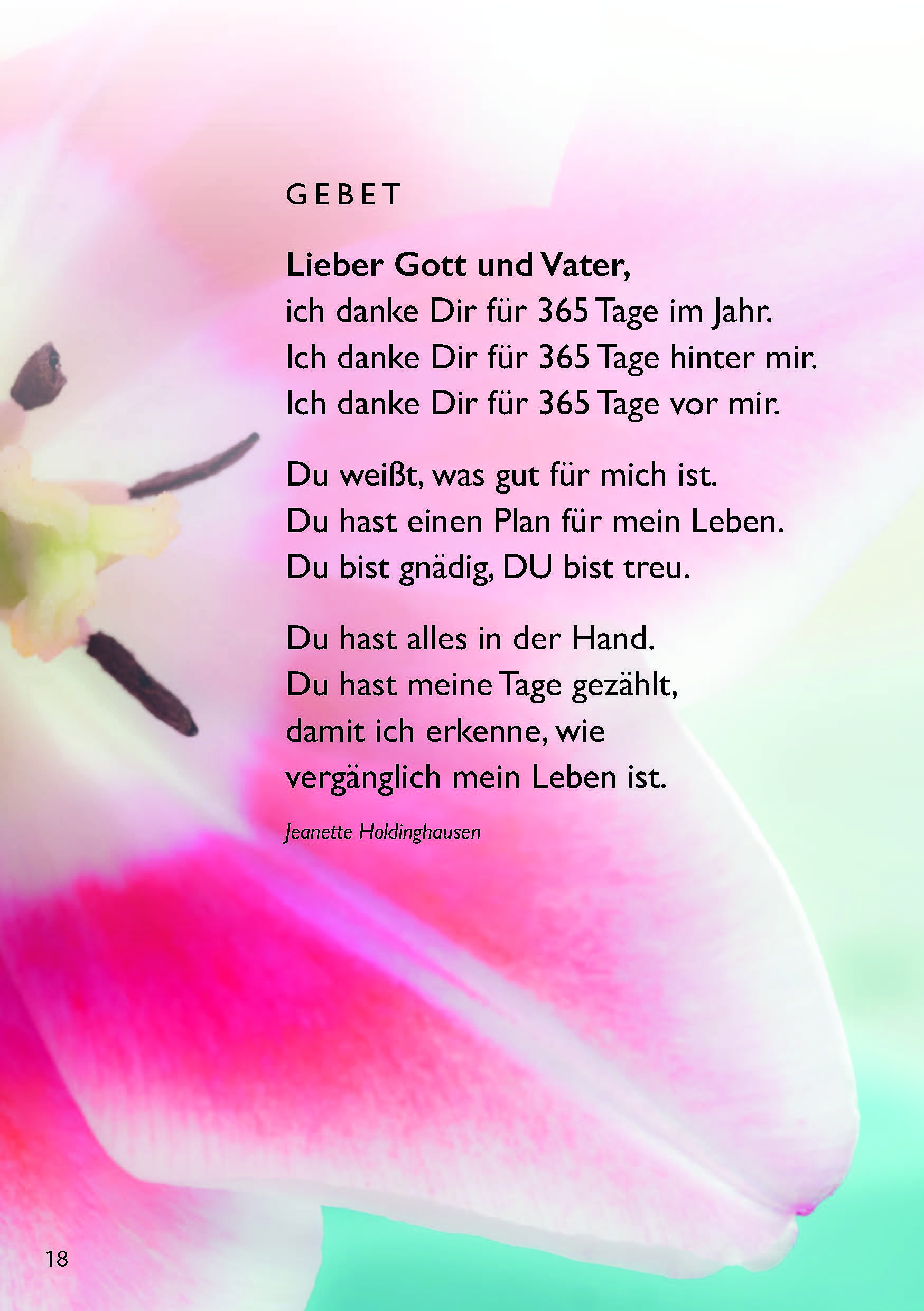 Alles Liebe und Gute zum Geburtstag