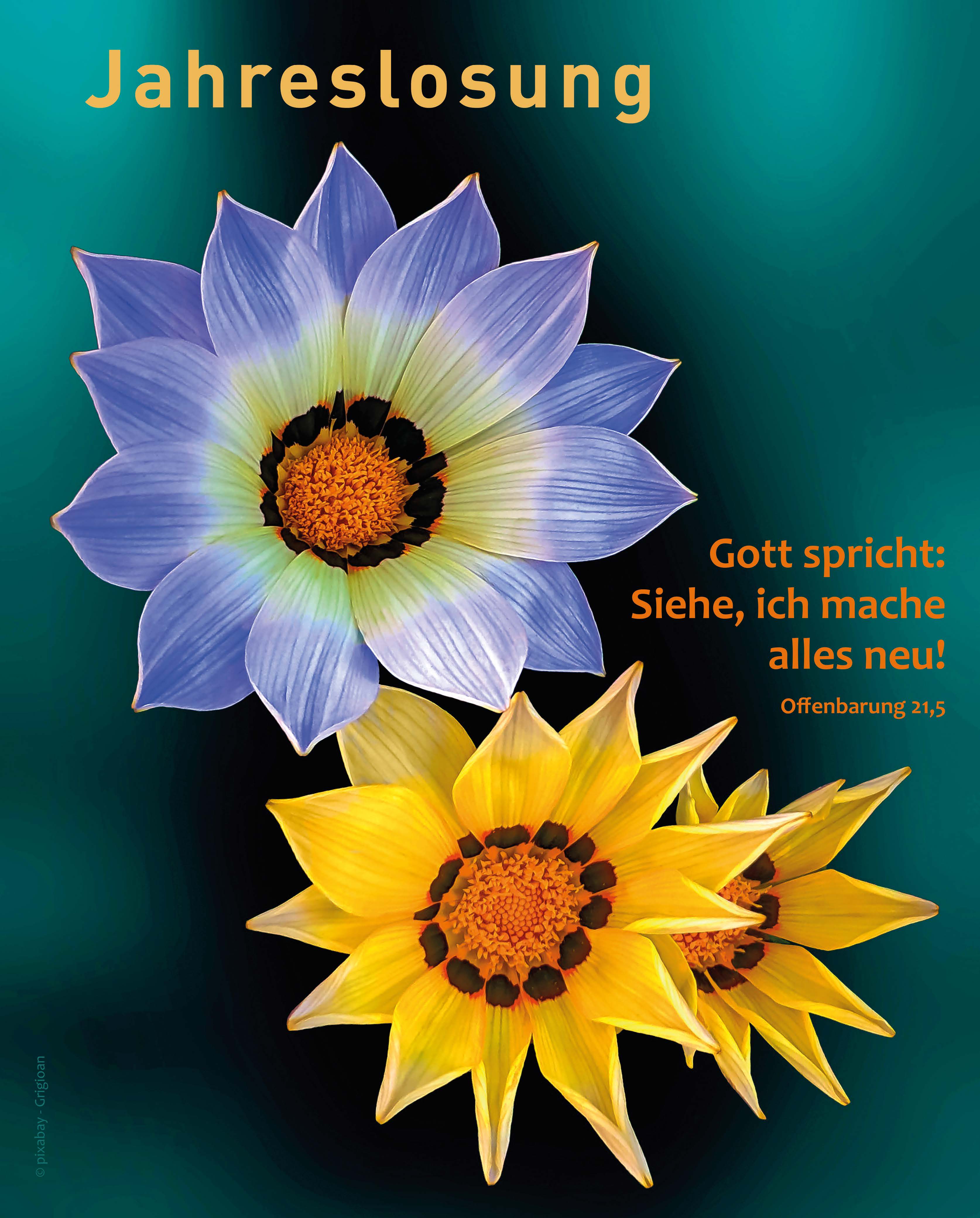 Monatsspruchmappe 2026