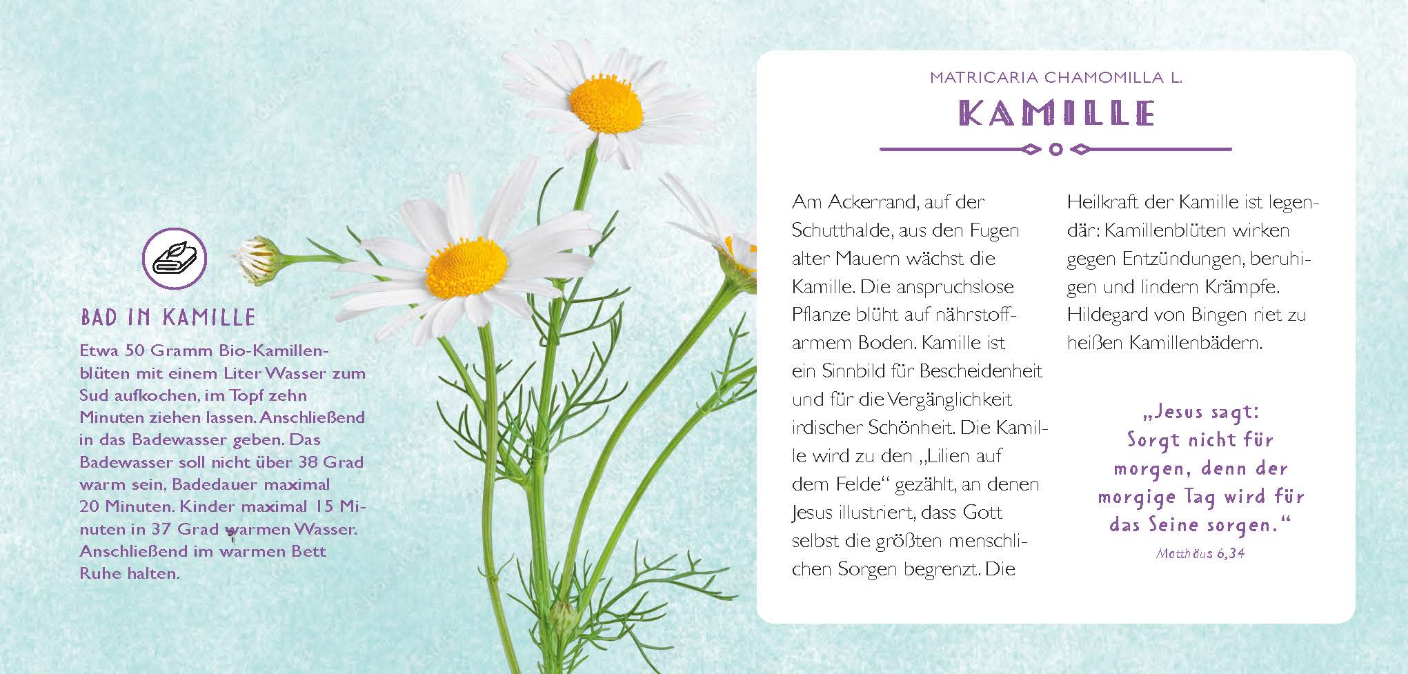 Die Apotheke Gottes - gebunden