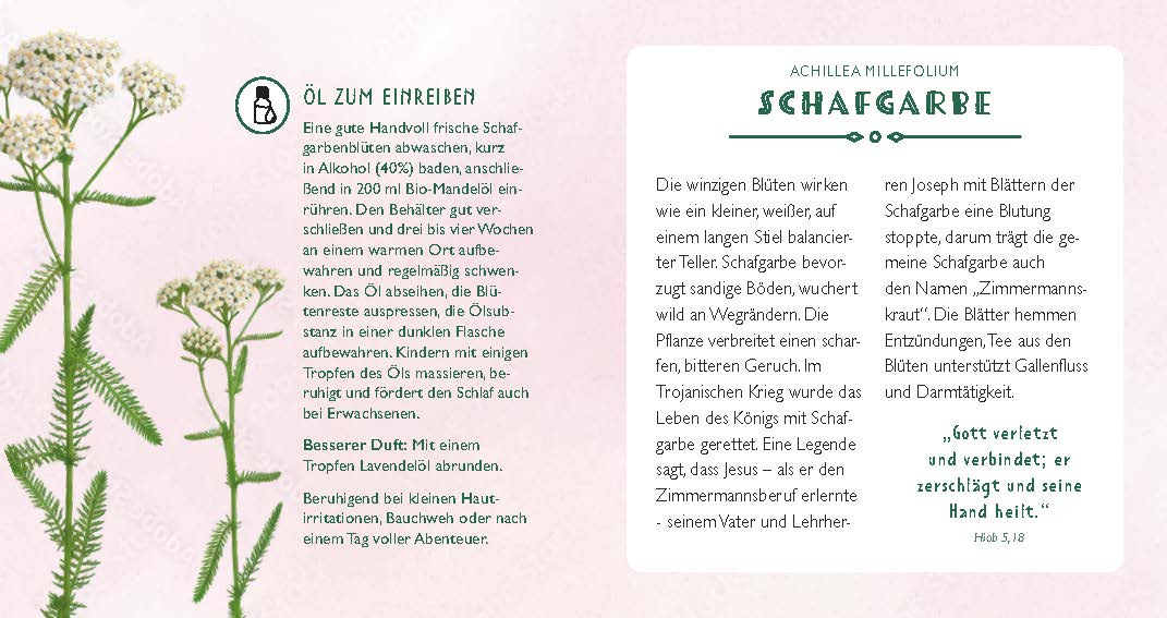 Die Apotheke Gottes - gebunden