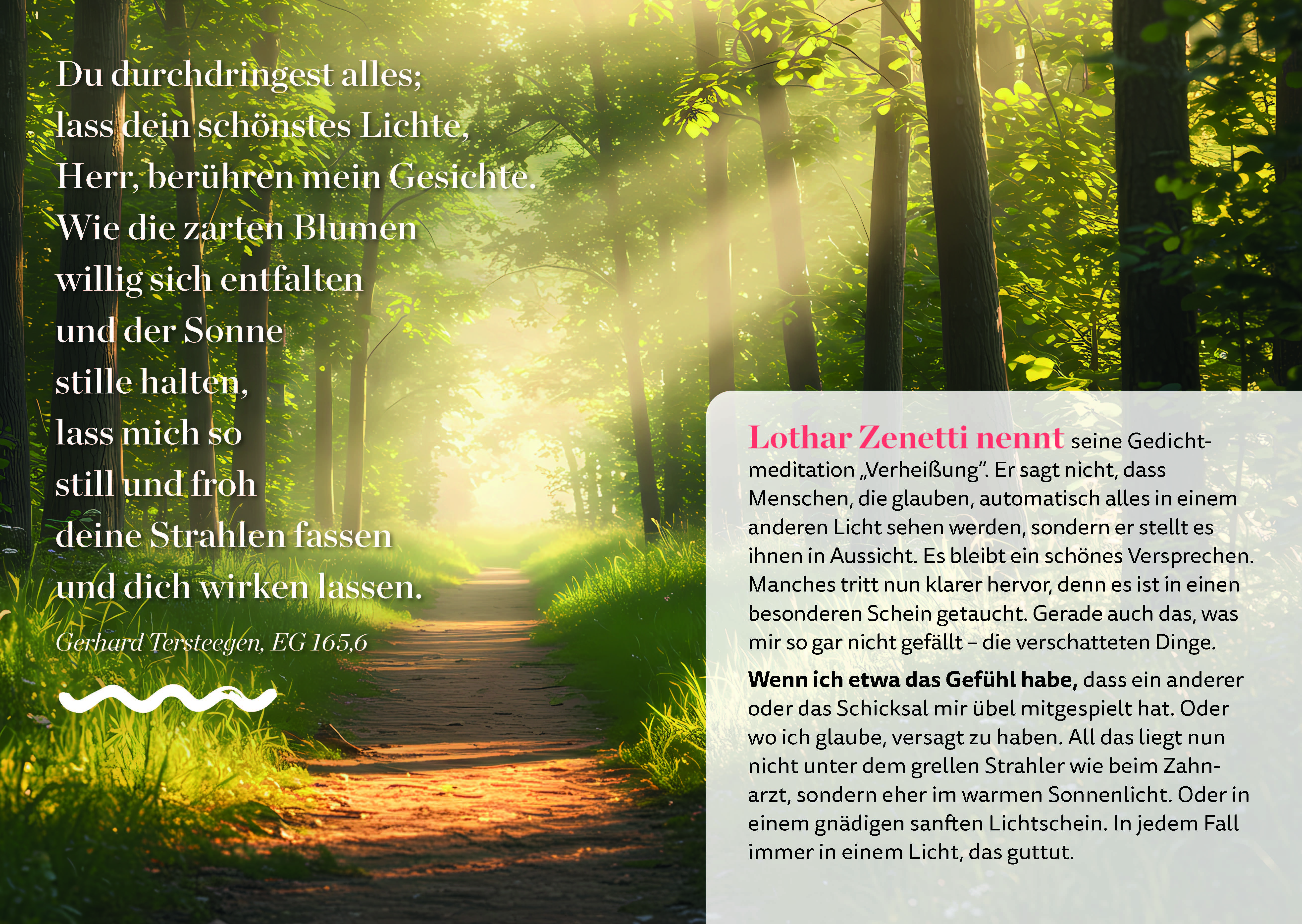 Licht aus sonnenhellen Tagen