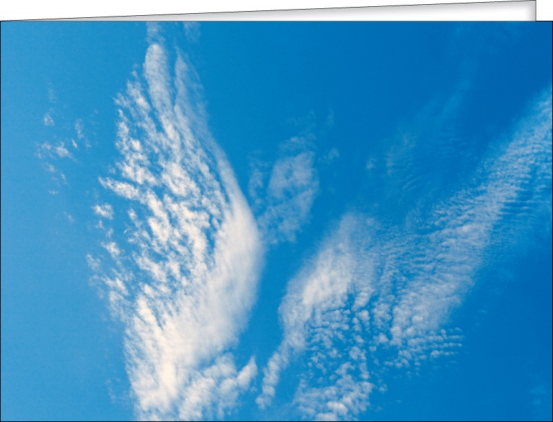 8617-0935-24_1