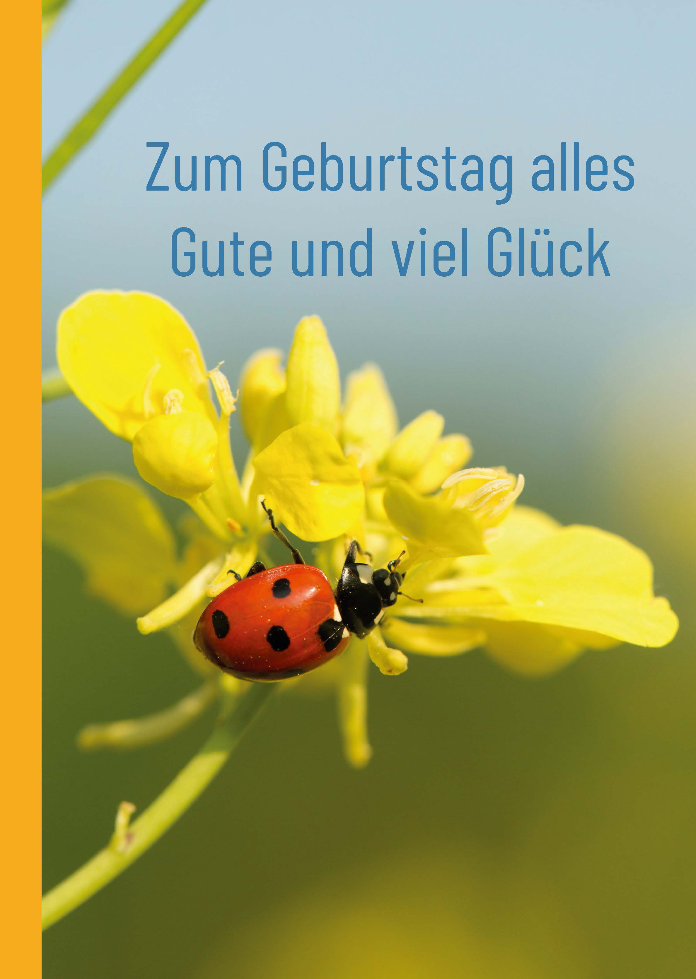 Zum Geburtstag alles Gute und viel Glück