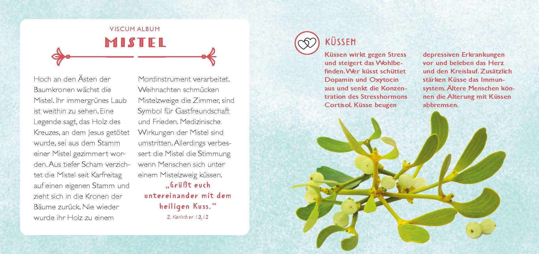 Die Apotheke Gottes - gebunden