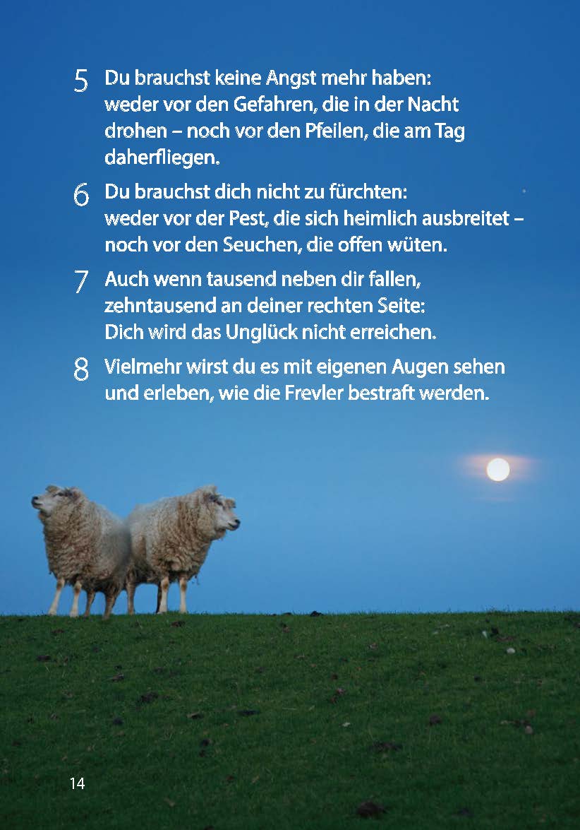 Meine Zuflucht und mein Schutz
