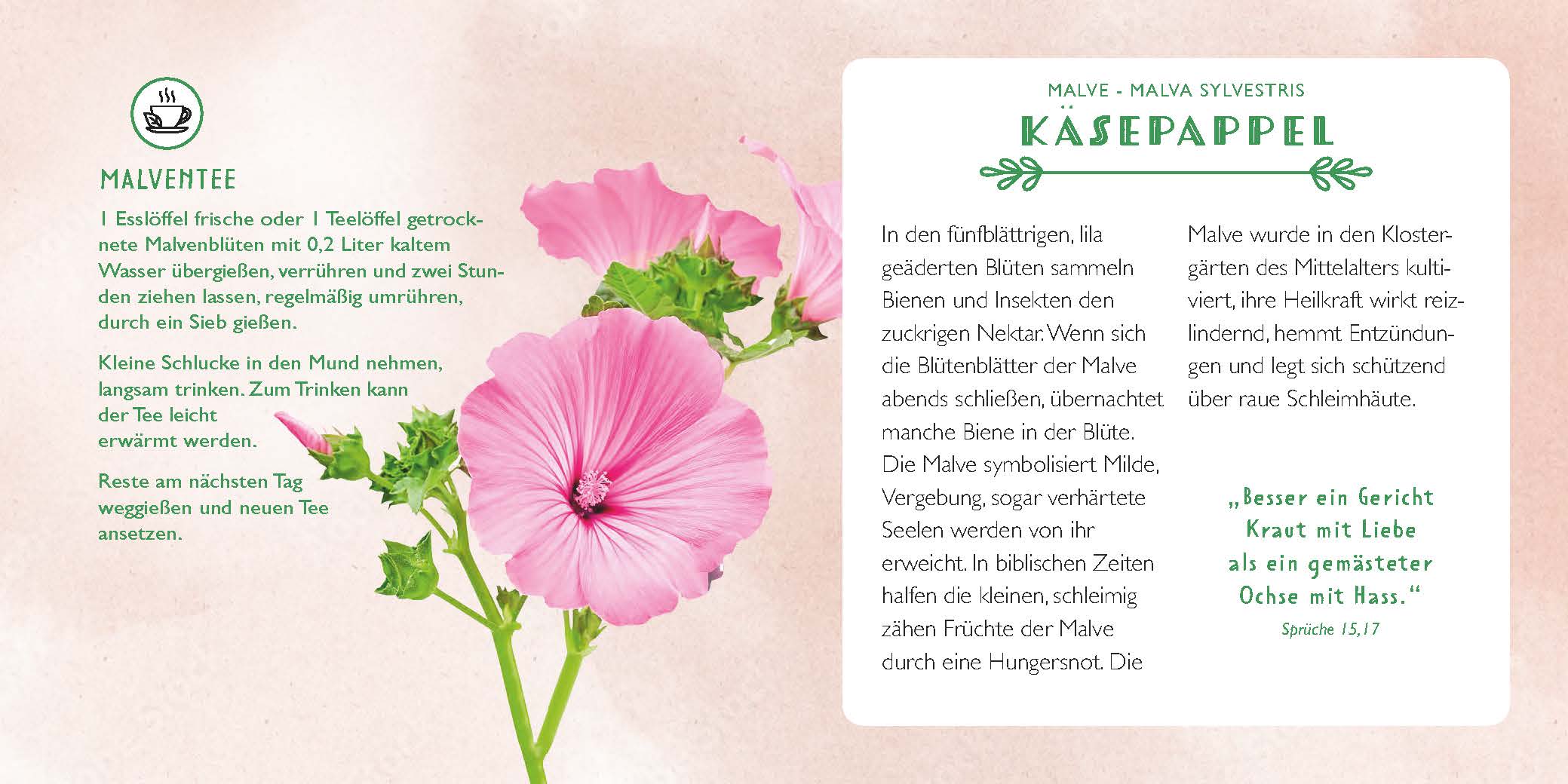 Die Apotheke Gottes - gebunden