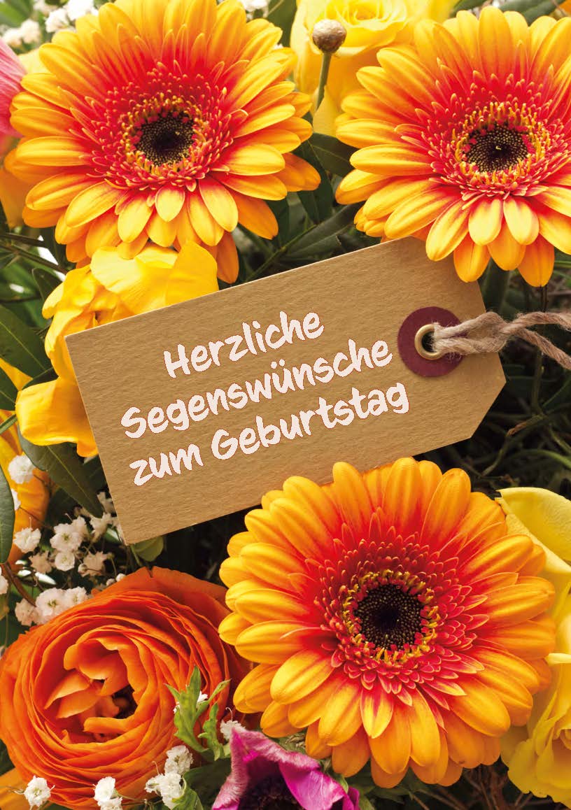 Herzliche Segenswünsche - Gerbera