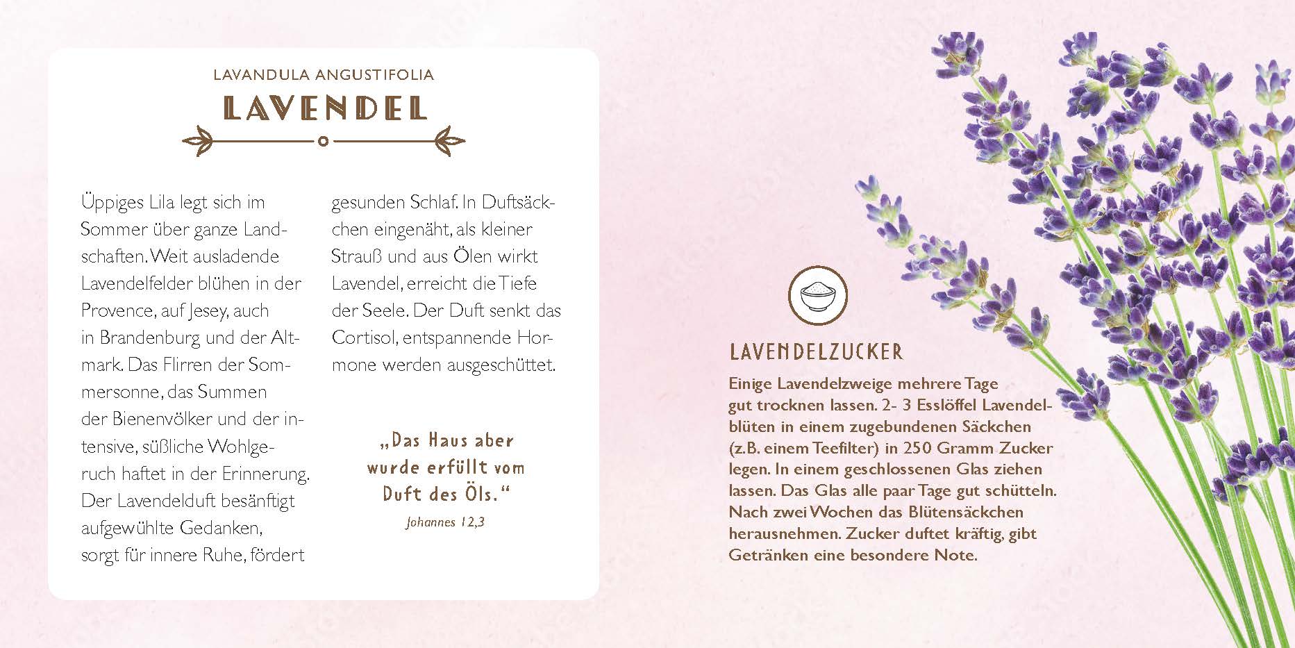 Die Apotheke Gottes - gebunden