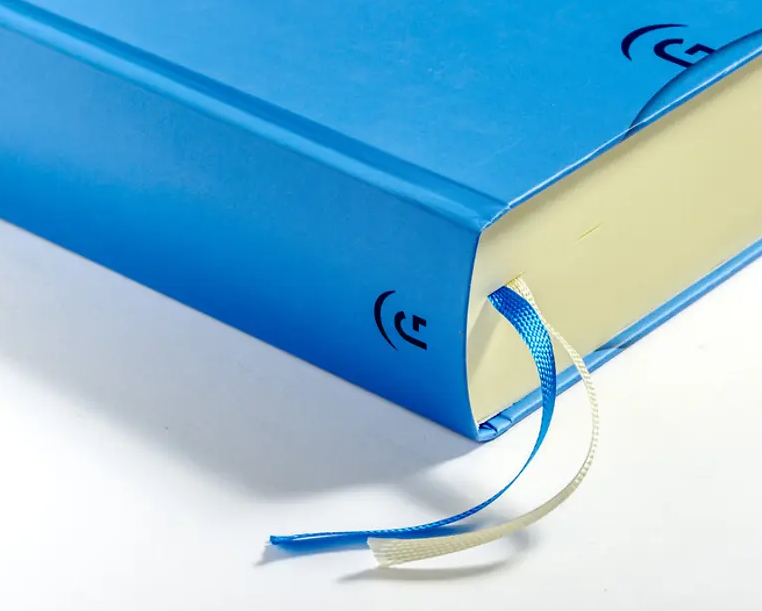 Bibel in gerechter Sprache