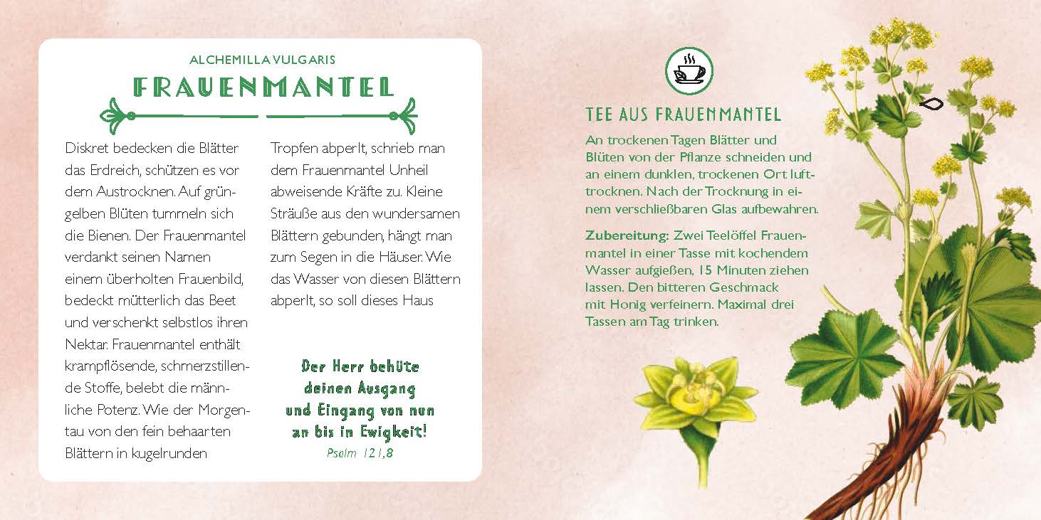Die Apotheke Gottes - gebunden
