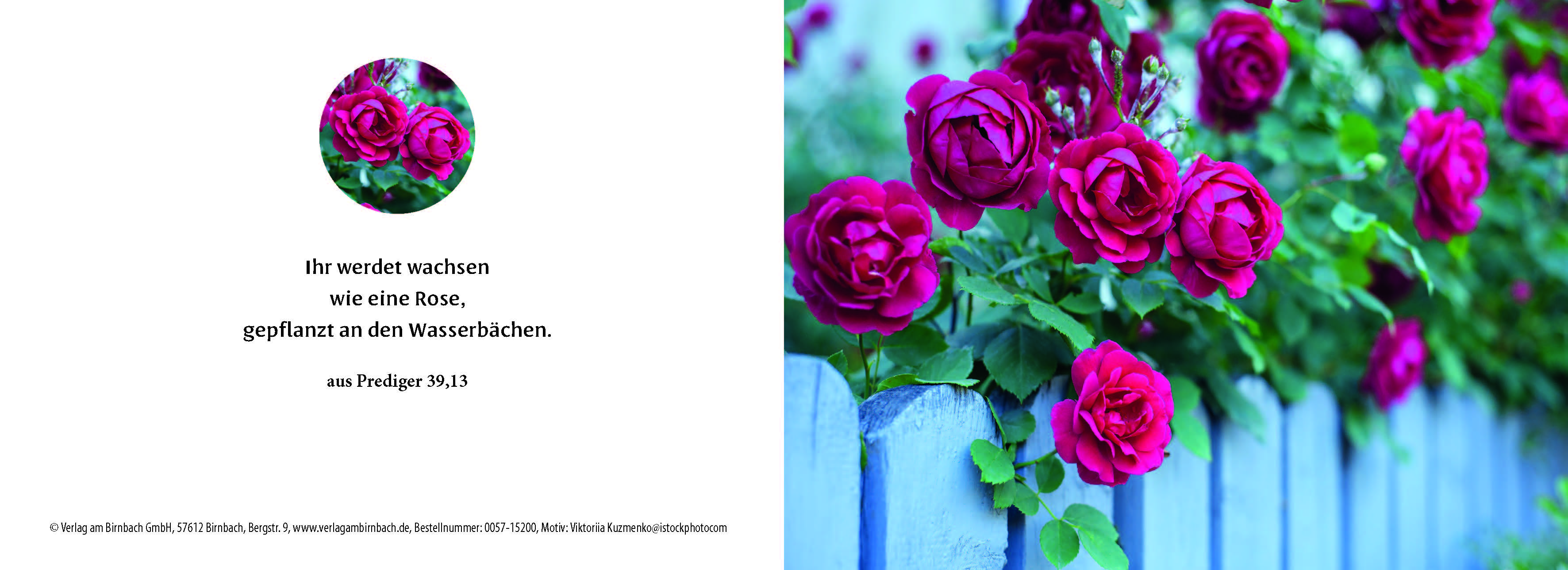 Birnbachkarte - Rosen