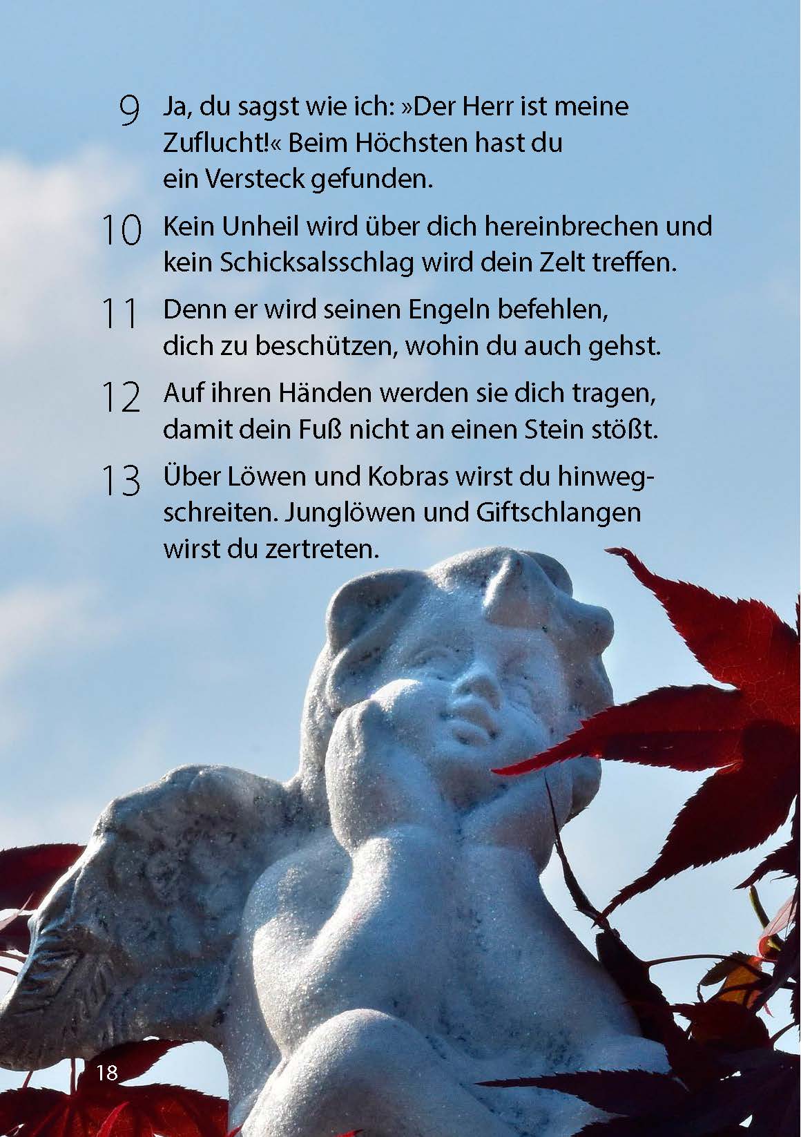 Meine Zuflucht und mein Schutz
