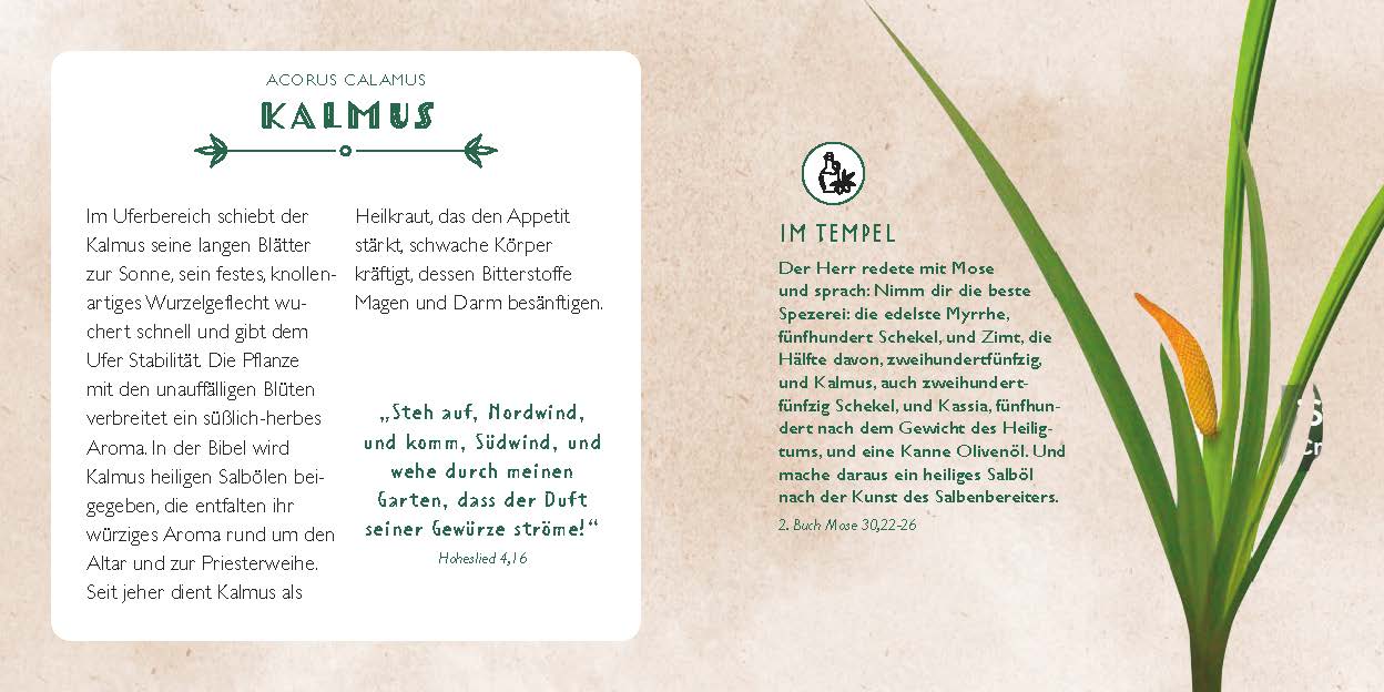 Die Apotheke Gottes - gebunden