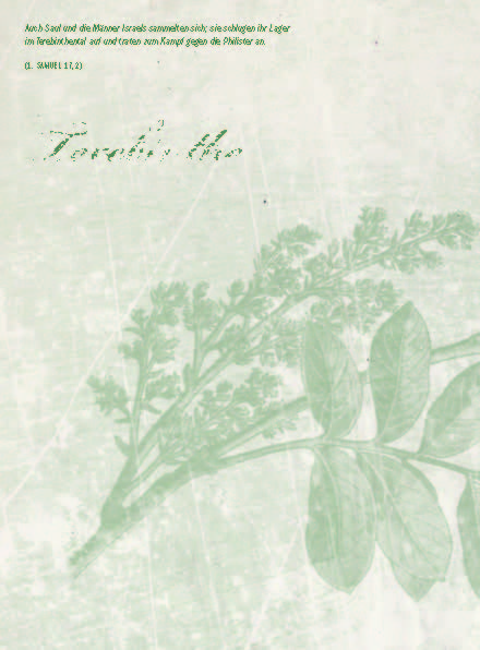 Der Garten der Bibel