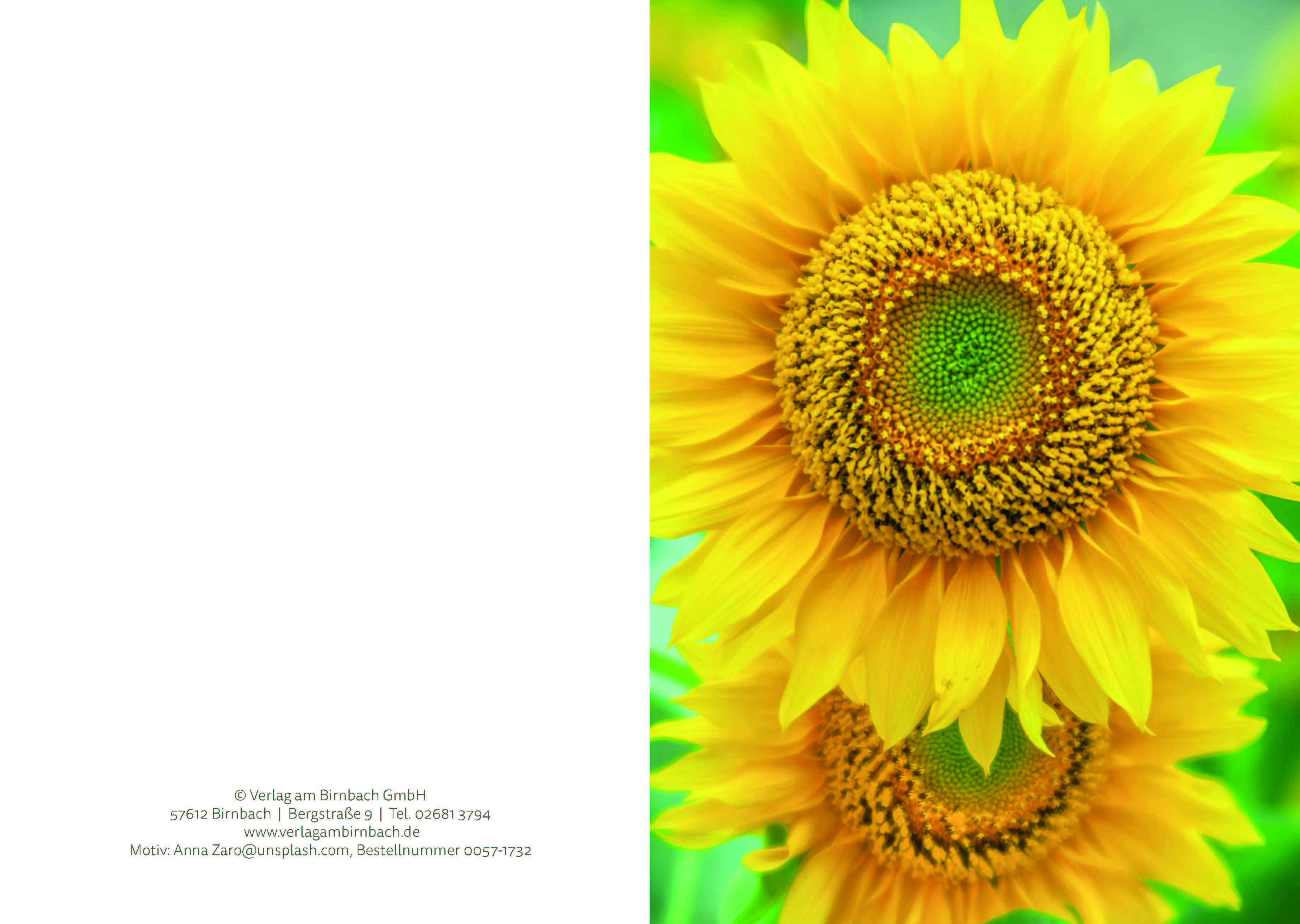 Urkunde A5 - Geburtstag Sonnenblume