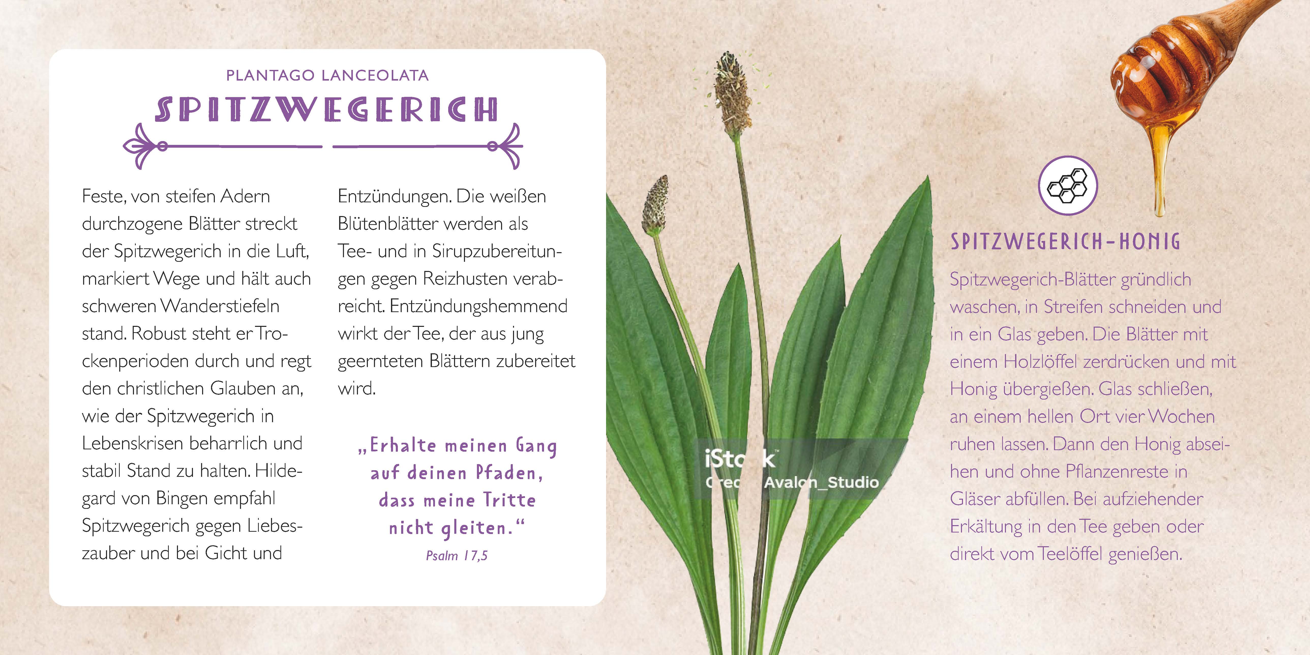 Die Apotheke Gottes - gebunden