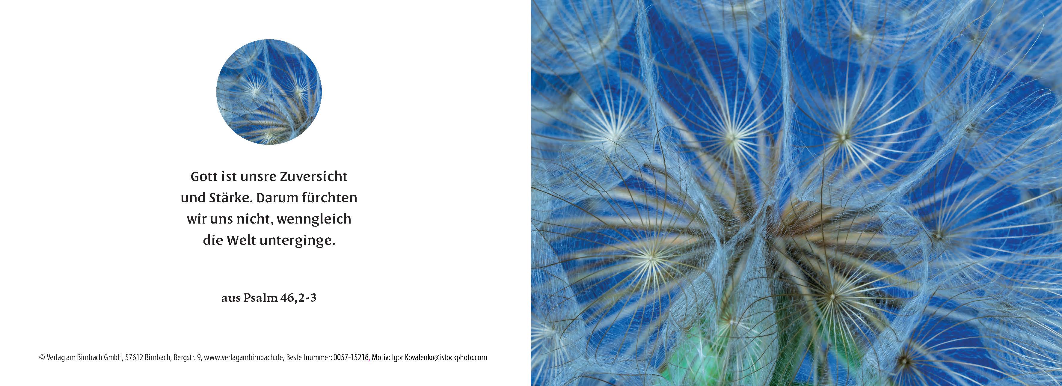 Birnbachkarte - Pusteblume