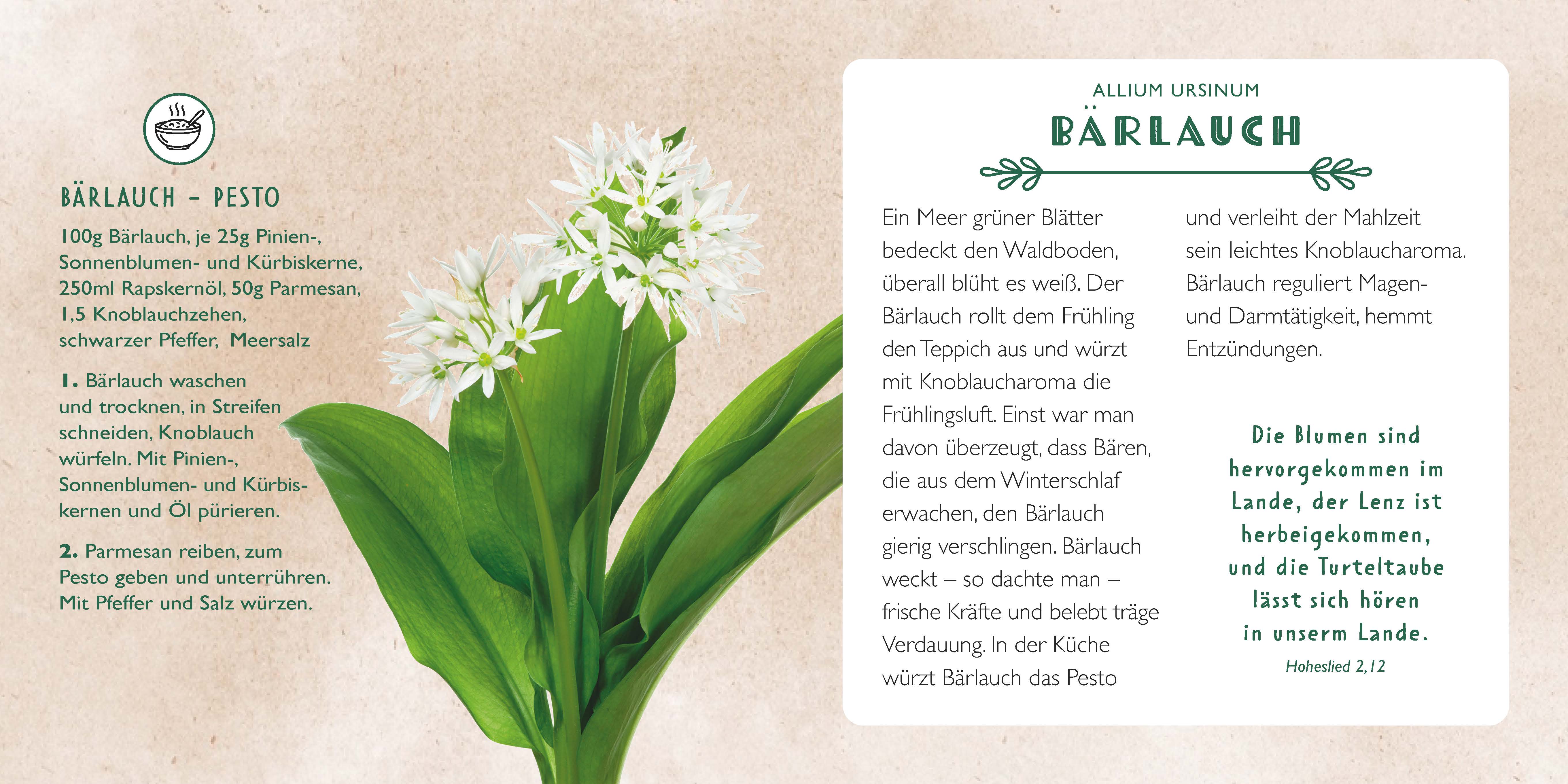 Die Apotheke Gottes - gebunden