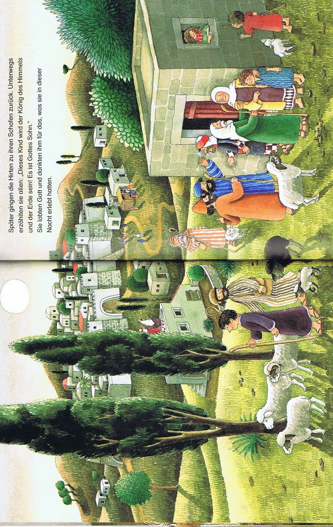 8112-3448_7