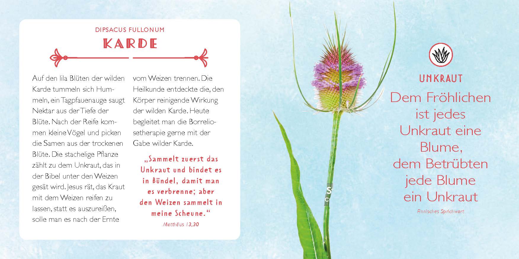 Die Apotheke Gottes - gebunden