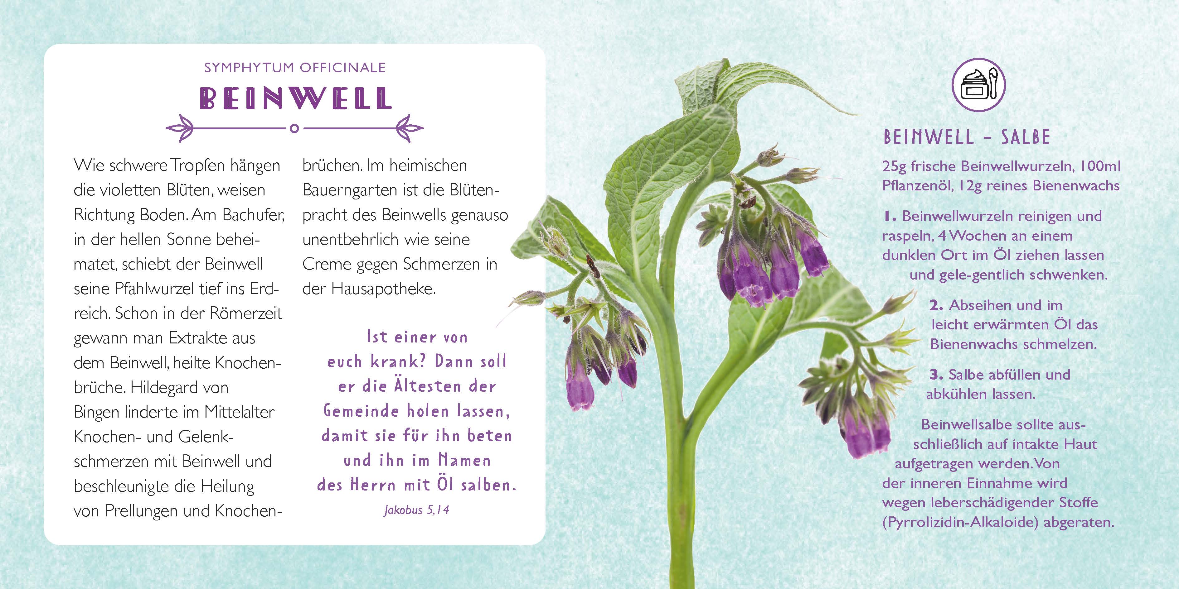 Die Apotheke Gottes - gebunden