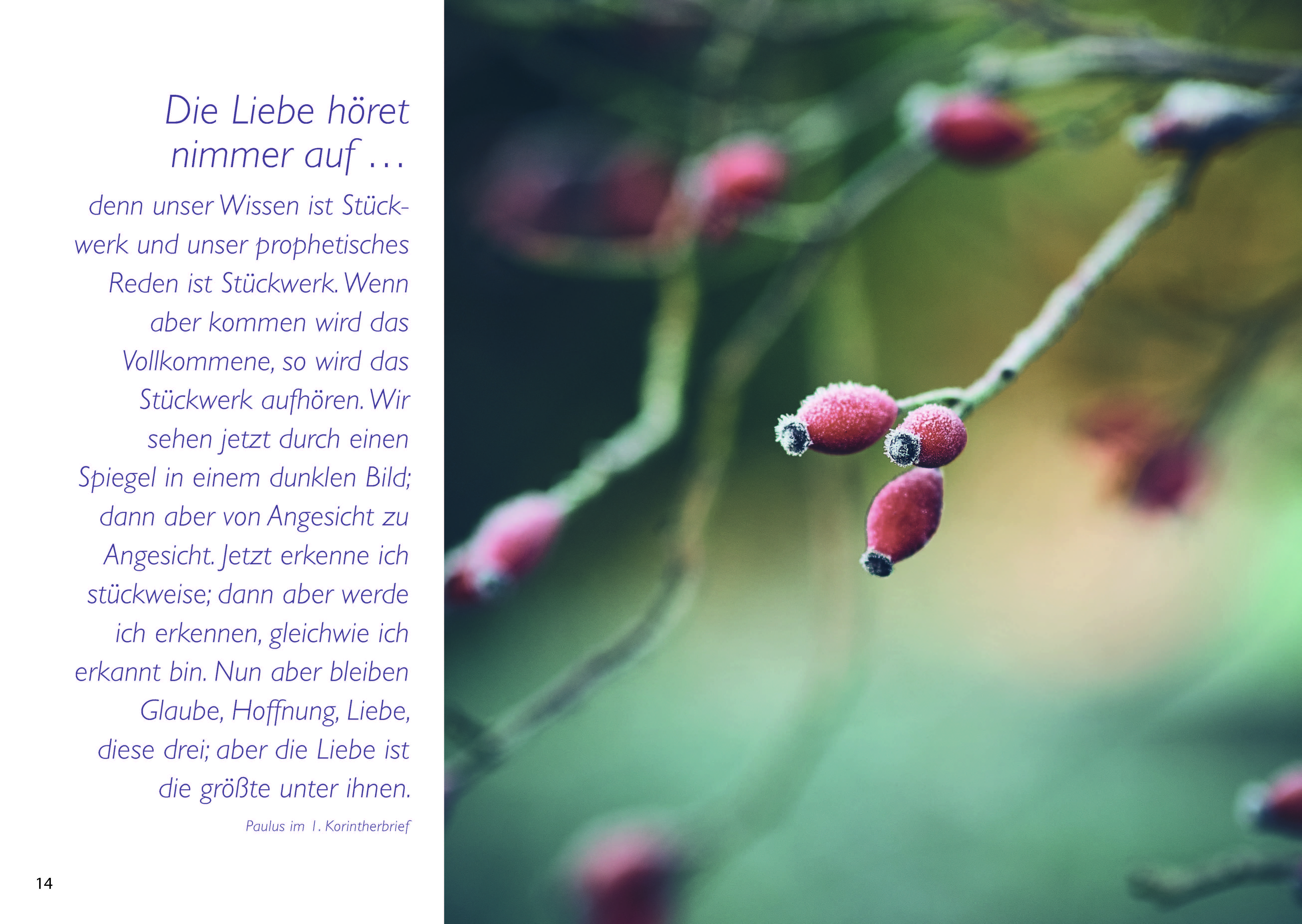 Trauerbroschüre - Abschied