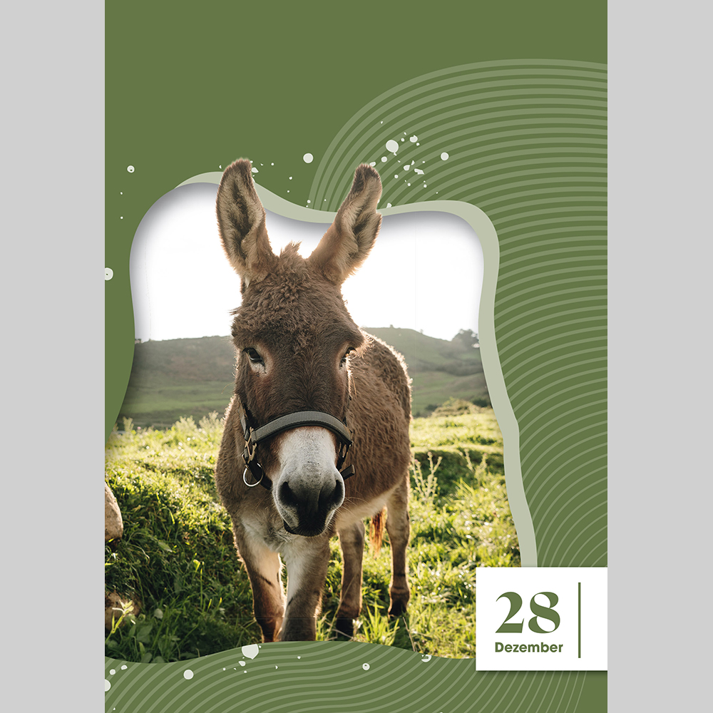 Gedanken von Weihnachten her