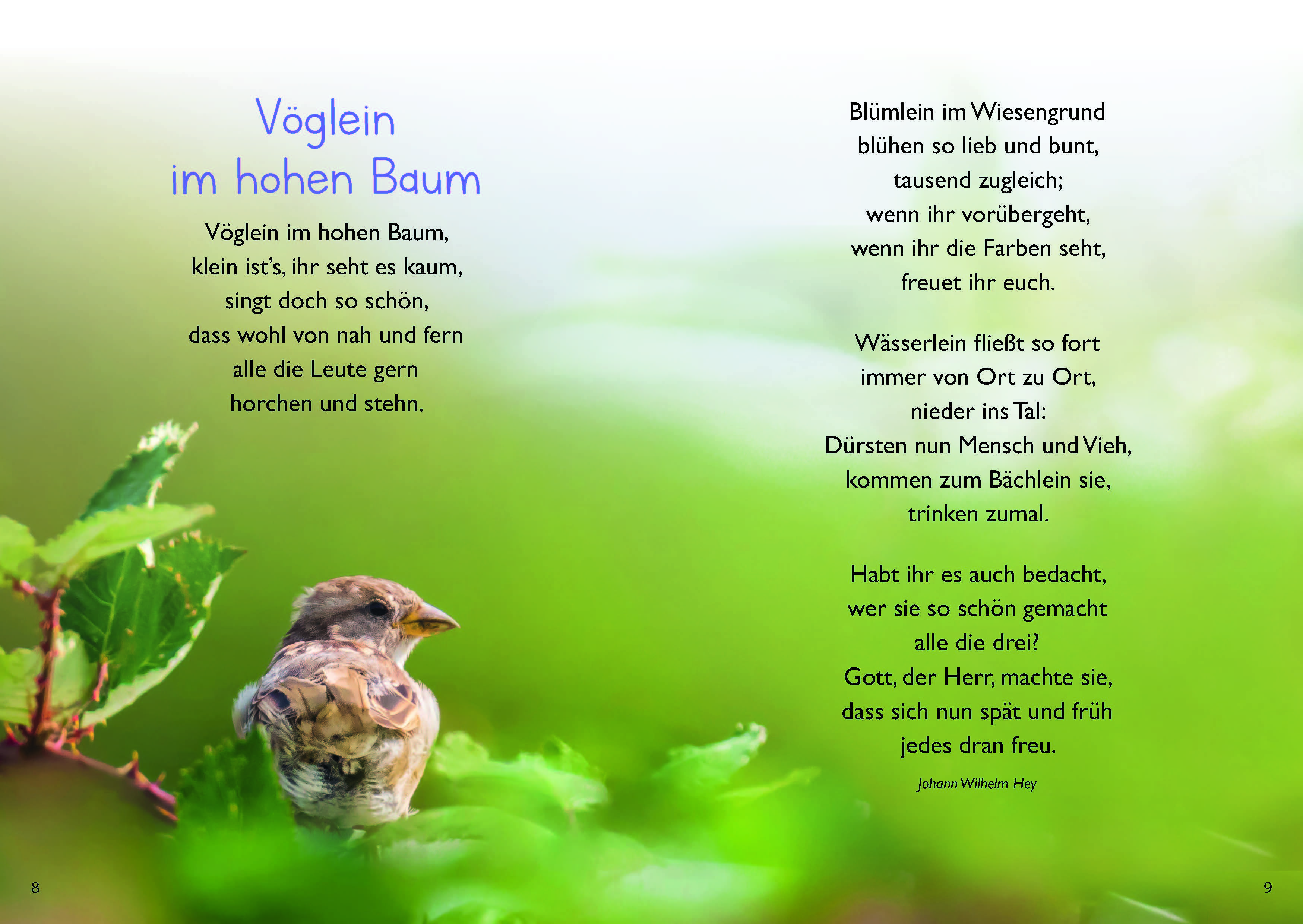 Alles Liebe und Gute zum Geburtstag