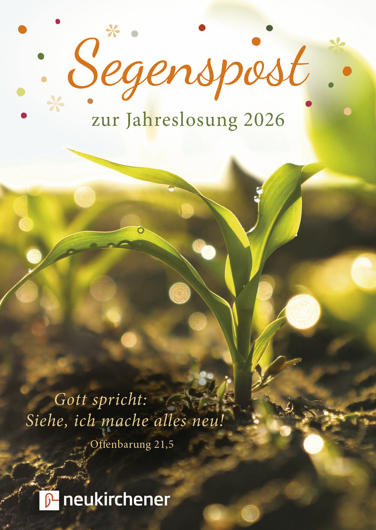 Segenspost zur Jahreslosung 2026