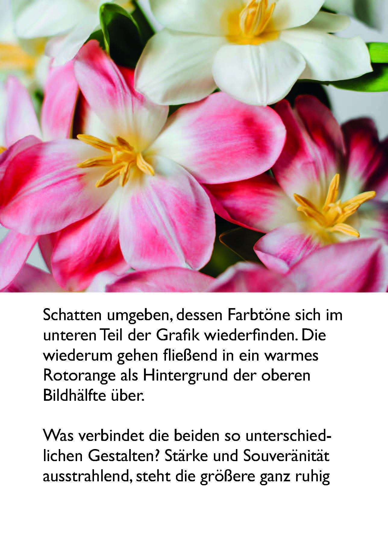 Mit herzlichen Segenswünschen 2027